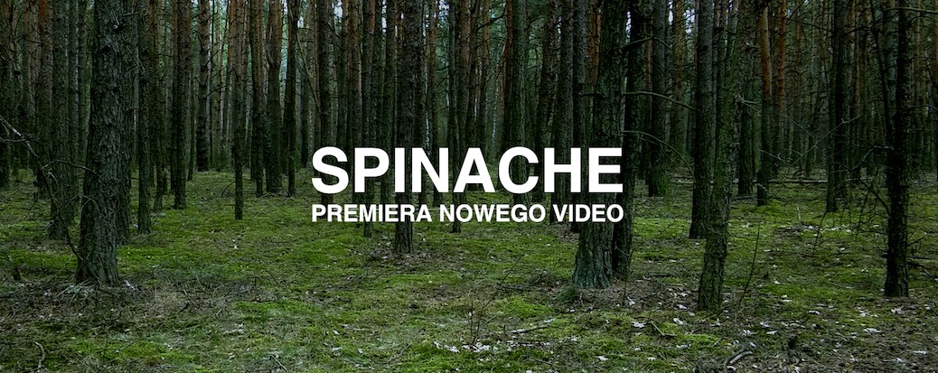 Spinache - Premiera nowego video